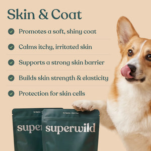 Super Everyday