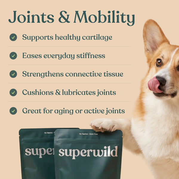 Super Everyday