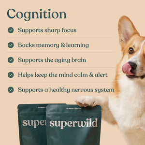 Super Everyday