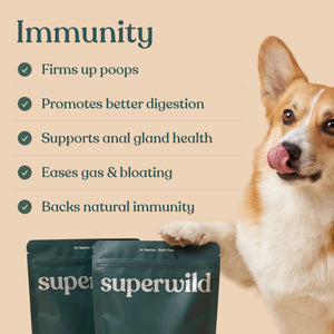 Super Everyday