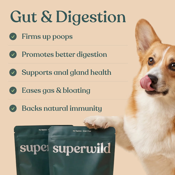 Super Everyday