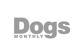 Gray 'Dogs Monthly' text logo on a white background