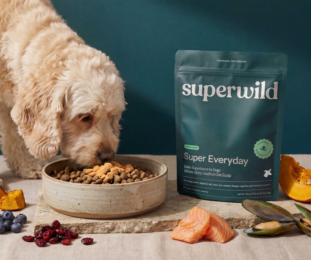 Superwild Super Everyday supplement jar — all-in-one powder blend