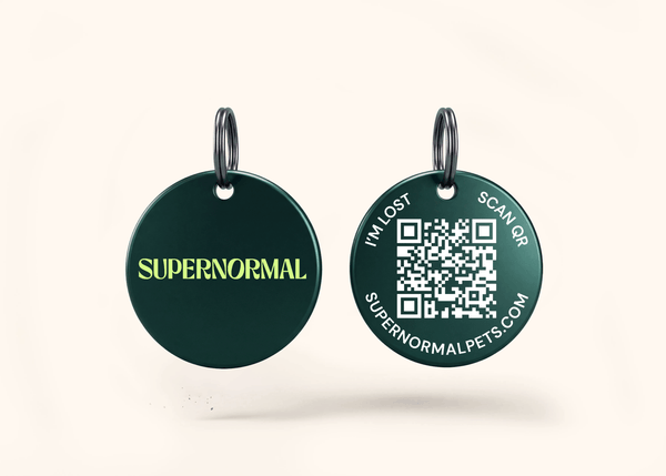 Tracking Tag*
